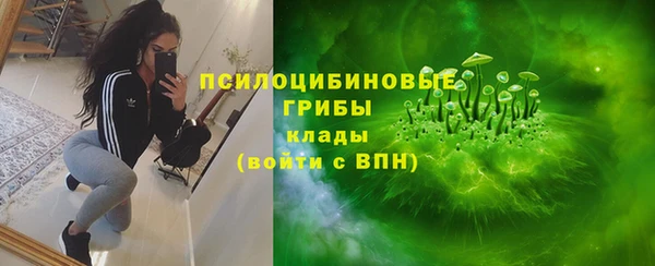 меф Алексин