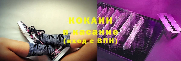 гидра Арсеньев