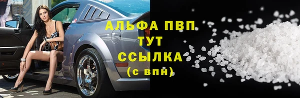 гидра Арсеньев