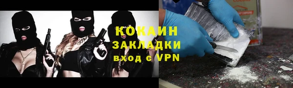 гидра Арсеньев