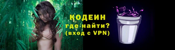 гидра Арсеньев