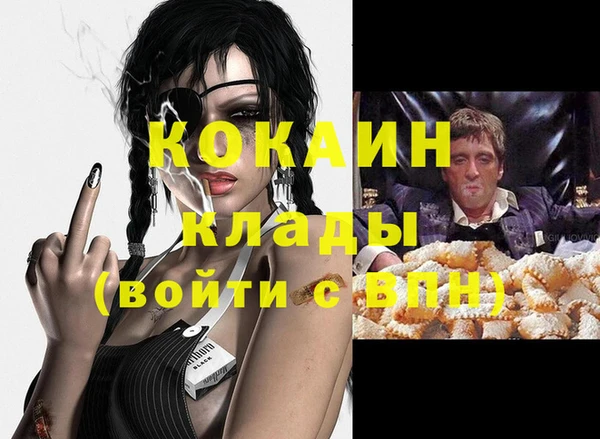гидра Арсеньев