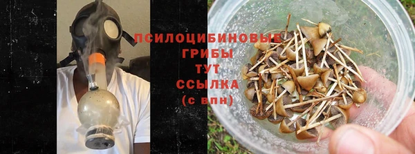 гашишное масло Аркадак