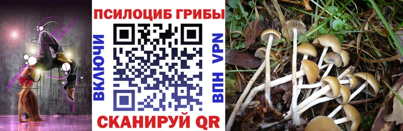 Галлюциногенные грибы мухоморы  Байкальск 